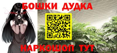 PSILOCYBIN Ставрополь