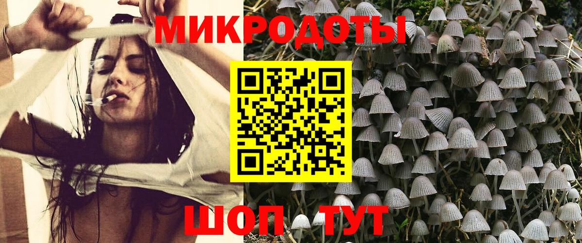 Псилоцибиновые грибы Cubensis Томск