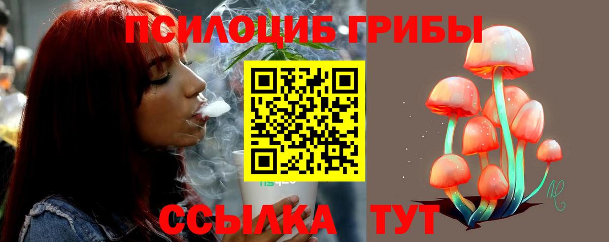 МЕФ Томск