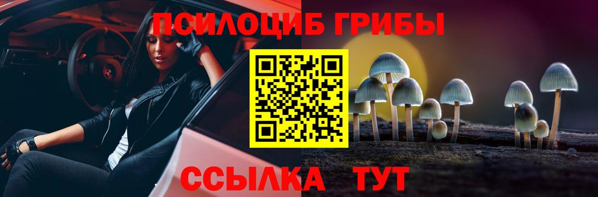 купить наркоту  Вход с VPN  Томск  Галлюциногенные грибы Magic Shrooms 